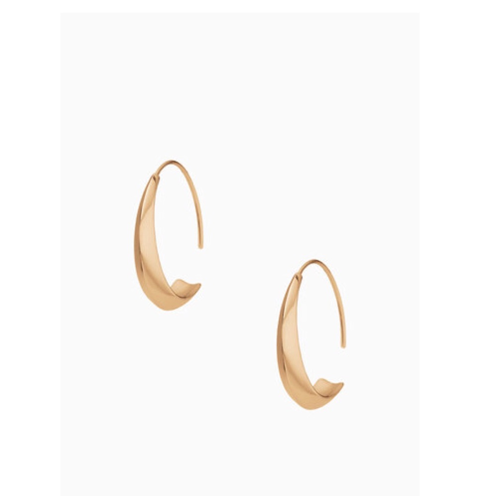 Stella & Dot dome hoop earrings